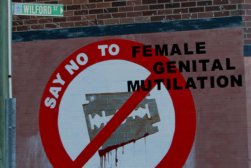 FEMALE GENITAL MUTILATION FEMALE GENITAL MUTILATION