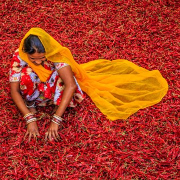 indian woman feed the world