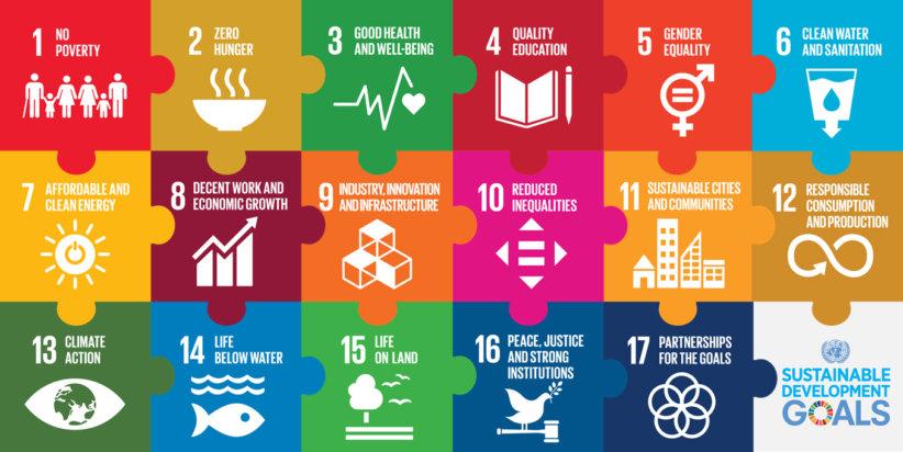 sdg puzzle