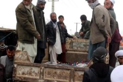 afghanistan UNAMA afghanistan UNAMA
