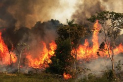 amazonas fire amazonas fire