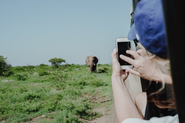 smartphone_elephant_unsplash