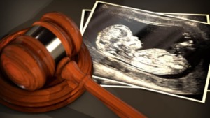abortion law