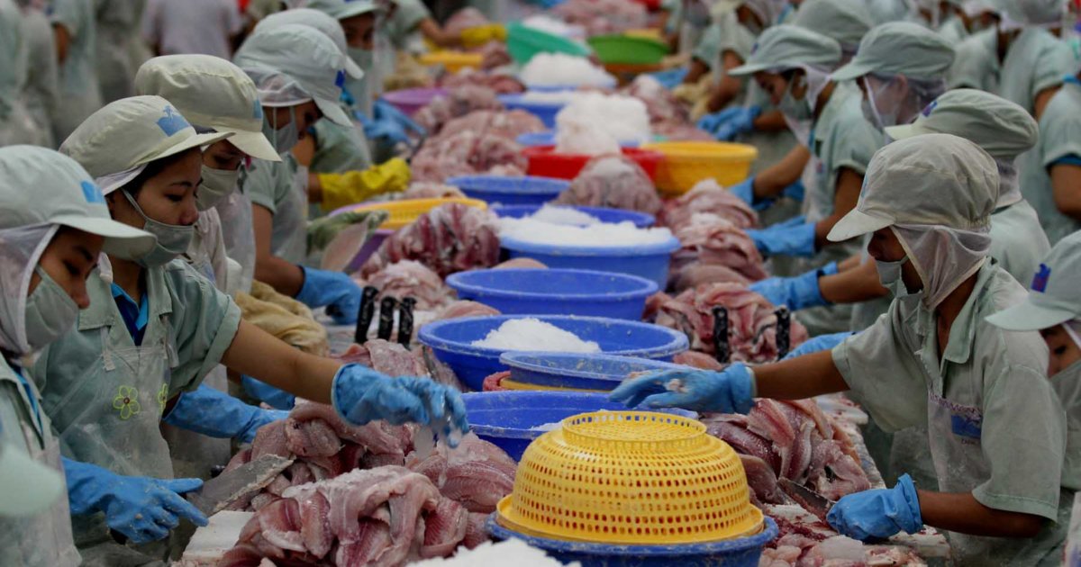 China fishmeal factory threatens Gambia’s communities