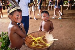 indigenous-brazil