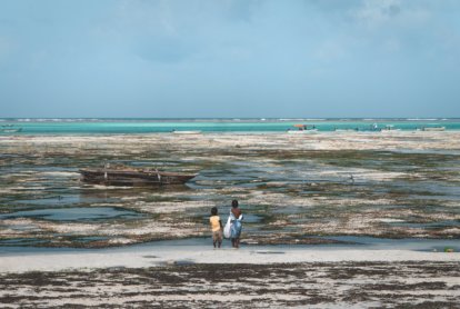The coast of Zanzibar