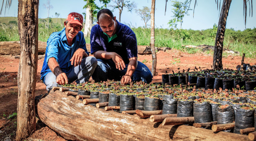 Action-to-resore-deforestation-FairPlanet