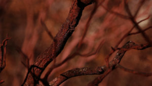 El bosque encarnado still 5