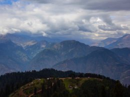 Pakistan_forest Pakistan_forest