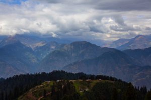 Pakistan_forest Pakistan_forest