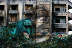 32684015257_bd9331c871_k