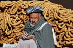 afghan farmer