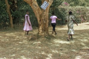 zimbabwe torture