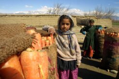 afghanistan-children
