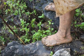 foot-forest-poverty