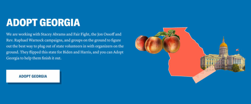 adopt-georgia-fairplanet-vote-save-america