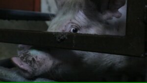 31126543541_f13569d5ac_k 31126543541_f13569d5ac_k