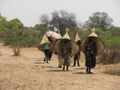 3147194456_d794668735_o