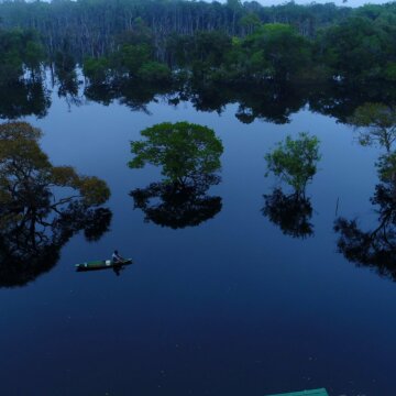 31693662678_4aa25375a1_k