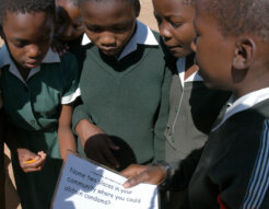 98789374_2c69442621_k