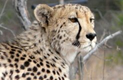 2097942280_eacd667ec4_b