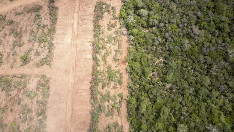 Active deforestation-Chaco-Paraguay-2