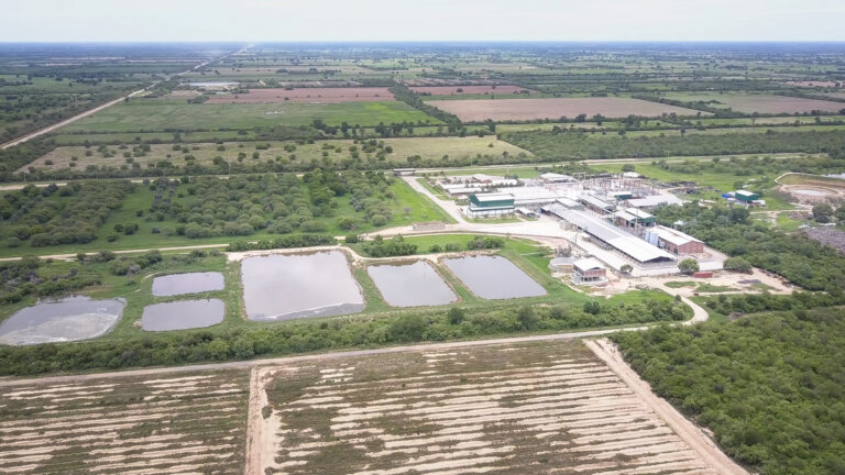 Aerial shot of the Chortitzer slaughterhouse in Paraguay. The firm supplies cow hides to tanneries who in turn supply Jaguar Land Rover