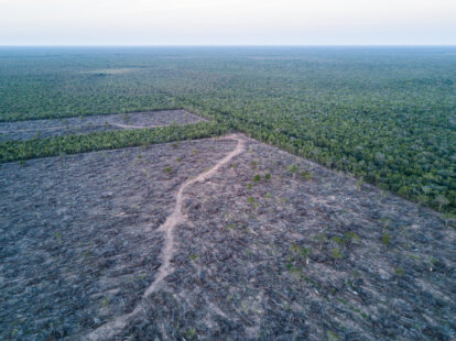 Illegal deforestation at a ranch inside PNCAT, 2019.