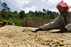 4803572459_4fe8c483e7_h