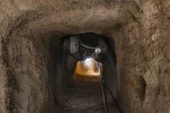 35876747155_566551f723_k