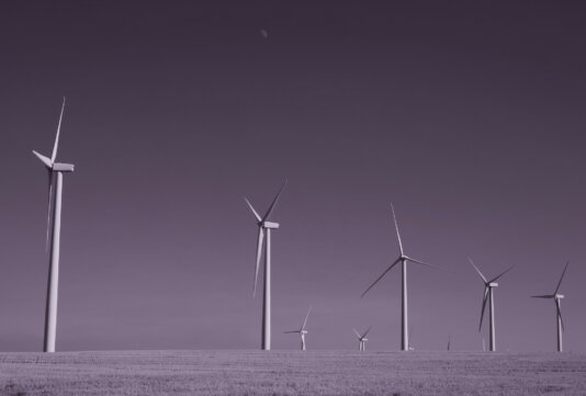 48515012426_4241155c05_k