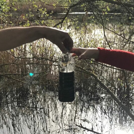 Water sample from a pond in Caparroso, where the sewage from the Caparroso farm is spilled. The amount of nitrates was 10 times more than the amount allowed by law.
