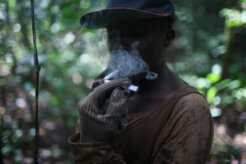 15702215264_98ccaa369d_b 15702215264_98ccaa369d_b