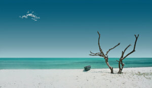 8680228495_7227105db7_h