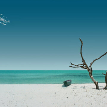 8680228495_7227105db7_h 8680228495_7227105db7_h