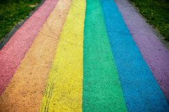rene-baker-jjlTe92wdmE-unsplash rene-baker-jjlTe92wdmE-unsplash