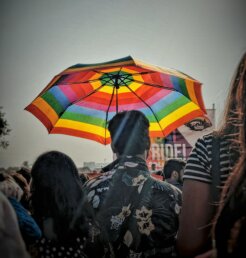 divya-jain-Ey2kX0Ha3NY-unsplash divya-jain-Ey2kX0Ha3NY-unsplash