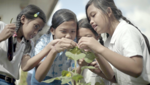 Eco-Activities (Seed to table - gardening) 1