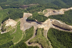 14658070997_da3e6f3cf8_o