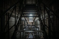 deleece-cook-2tymKis9reM-unsplash