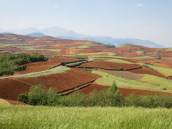 36882323944_d5e2284674_k