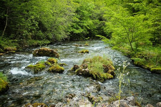 Europe\'s most pristine rivers, flowing between Slovenia and Albania, are now threatened by 3,000 planned small hydropower plants (SHPPs).