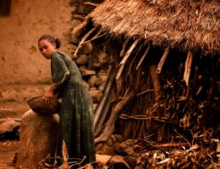 42398411201_30e1d72a44_o