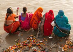 alain-bonnardeaux-N_binrWZfD4-unsplash