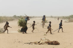 1280px-Oxfam_East_Africa_-_A_family_gathers_sticks_and_branches_for_firewood