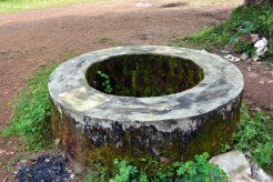 10721368065_19f5cb7d09_b