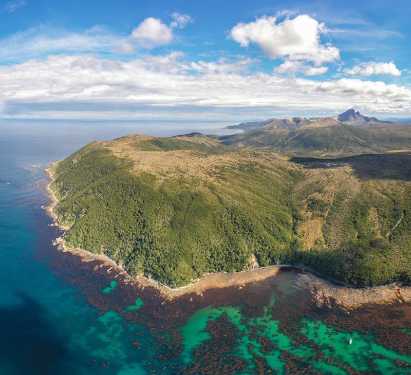 © Fundación Rewilding Argentin