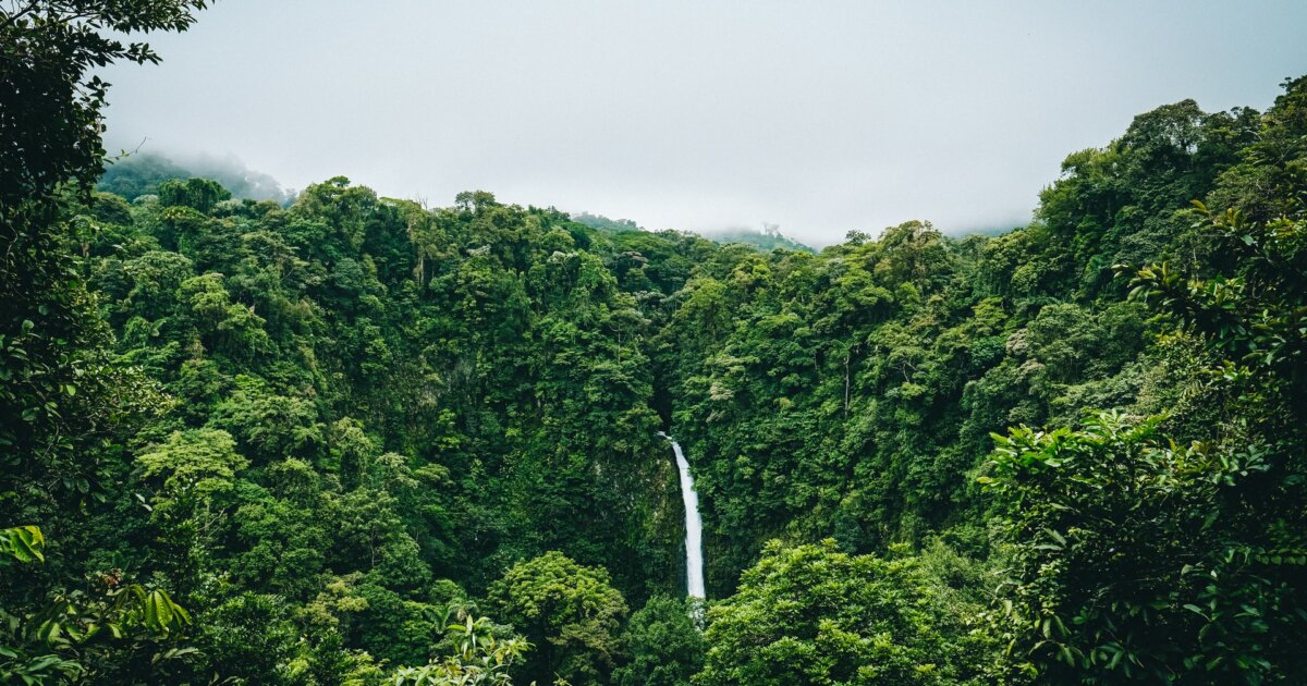 ¿Está en peligro el Programa Verde de Costa Rica?