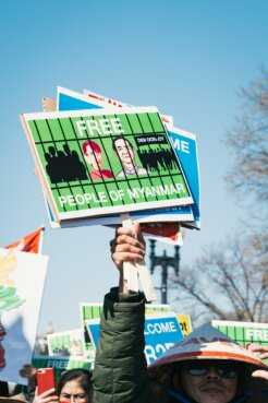 gayatri-malhotra-hc3XTPq_4hw-unsplash gayatri-malhotra-hc3XTPq_4hw-unsplash