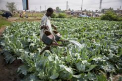 11925437155_d2b5bd4b37_c